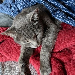 Meet your Posher, Brandi